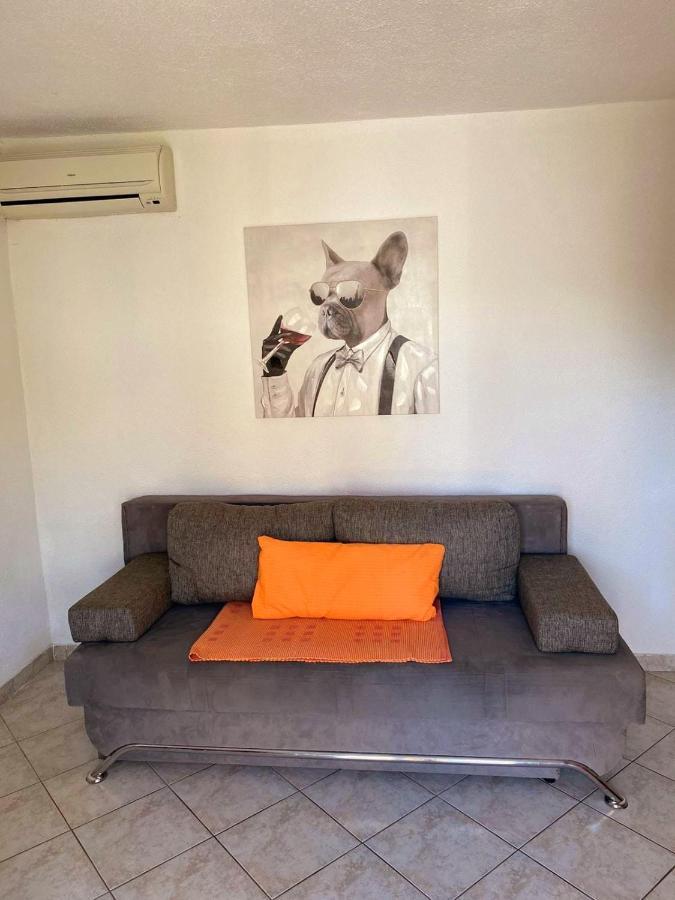 Apartments Petrovic 罗戈兹尼察 外观 照片