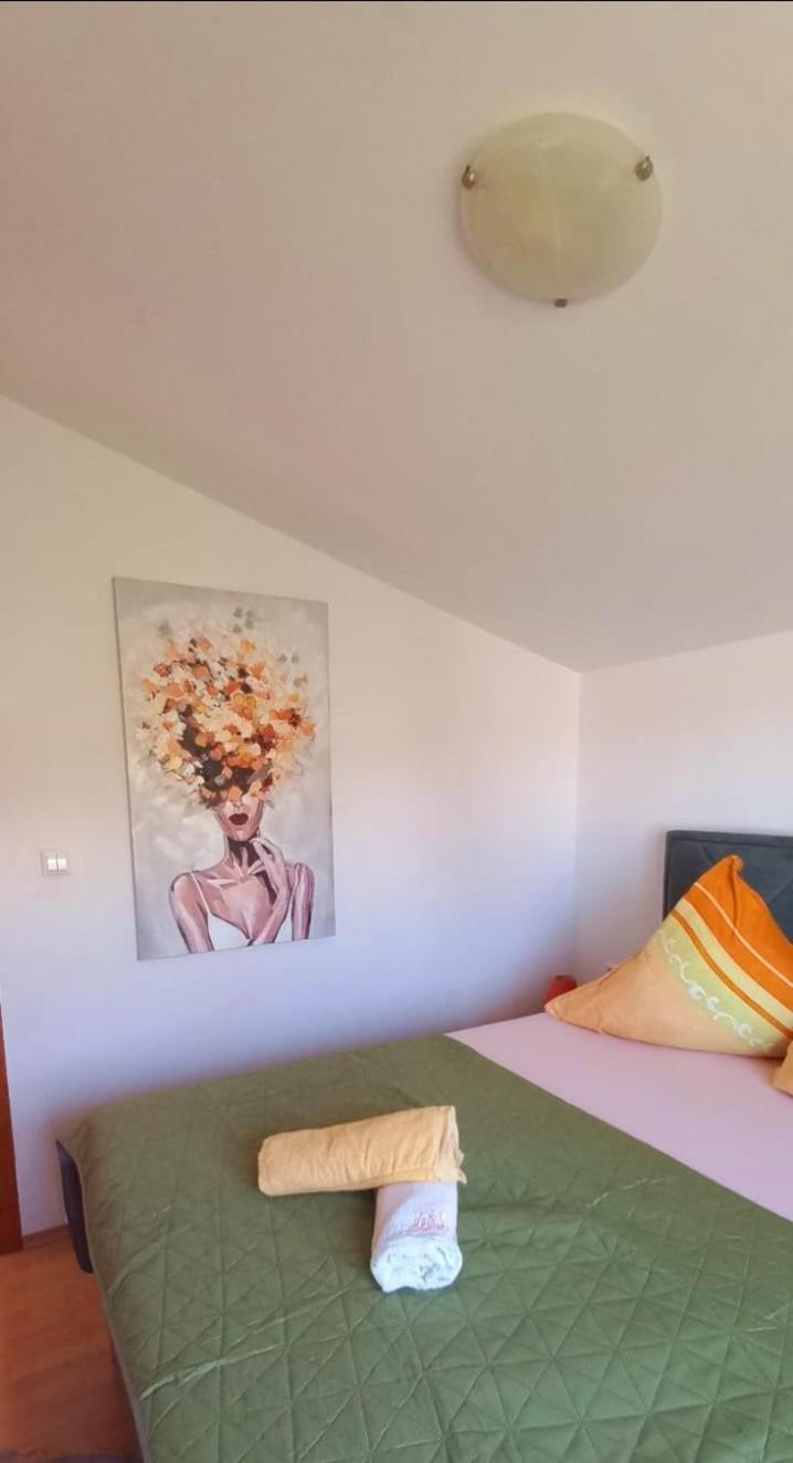 Apartments Petrovic 罗戈兹尼察 外观 照片